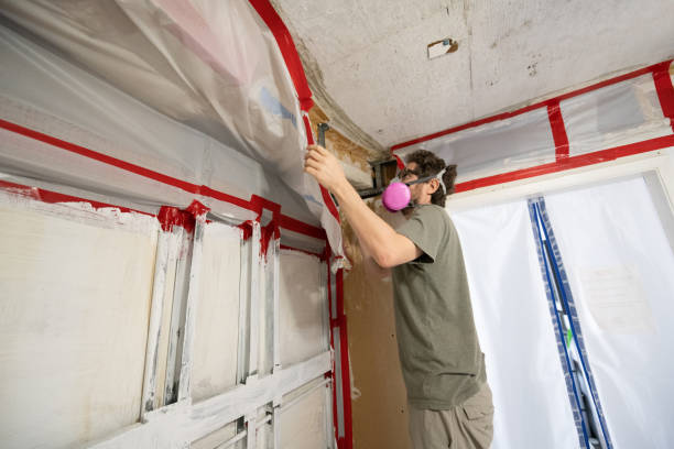 Best Mold Prevention Services  in USA